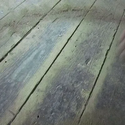 Fantasien unterm Dach