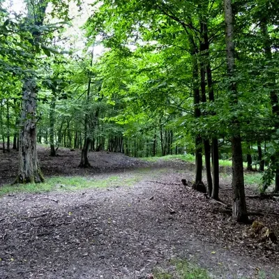 Realistische Entführungen und Psychospiele