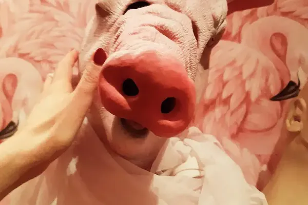 Schweinchen im Tütü