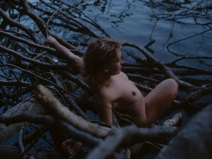 Rewilding