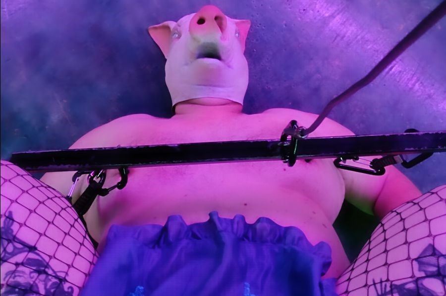 Schlachtreifes Schwein am Haken