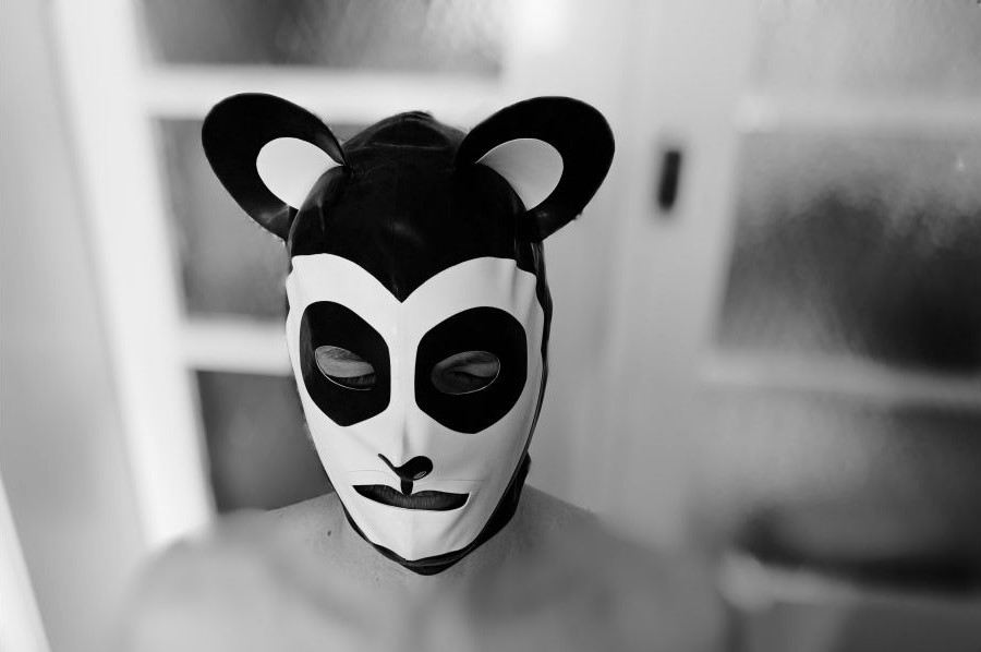 Demütiger, folgsamer Panda