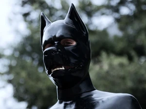 RubberDog: Kurs Room